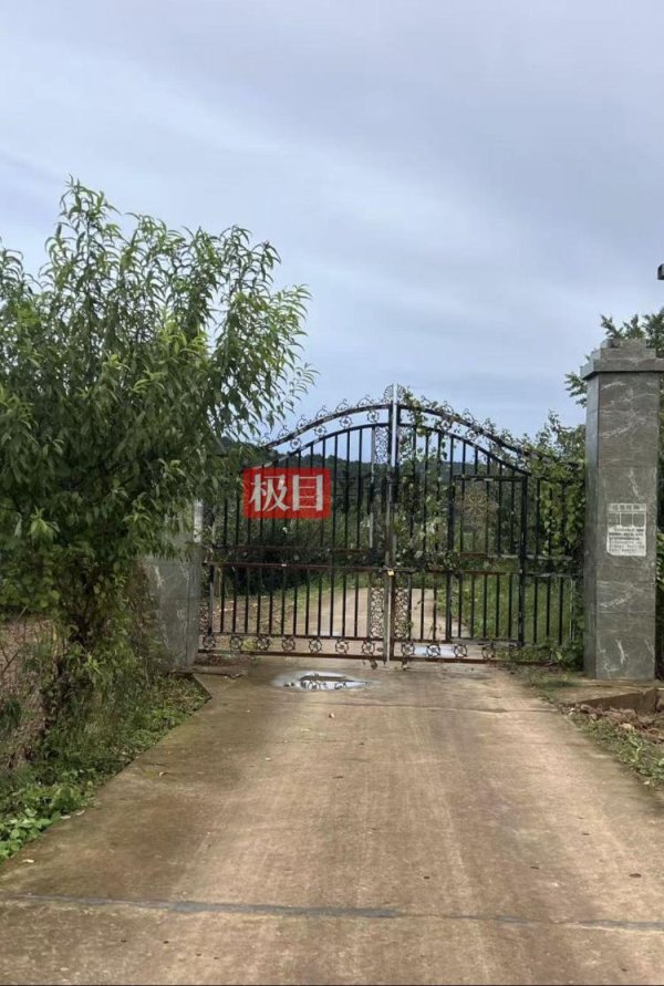 牛配资 实探网红“唐飞机”坠机地：位于一片果园内，村民看直播发现坠机后前往灭火
